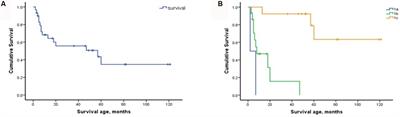 Association among biomarkers, phenotypes, and motor milestones in Chinese patients with 5q spinal muscular atrophy types 1–3